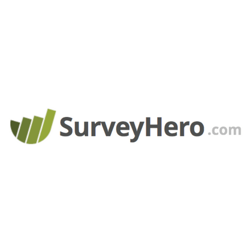 Survey Hero